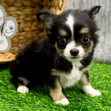 Ranger thumbnail - image 3