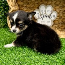 Ranger thumbnail - image 2