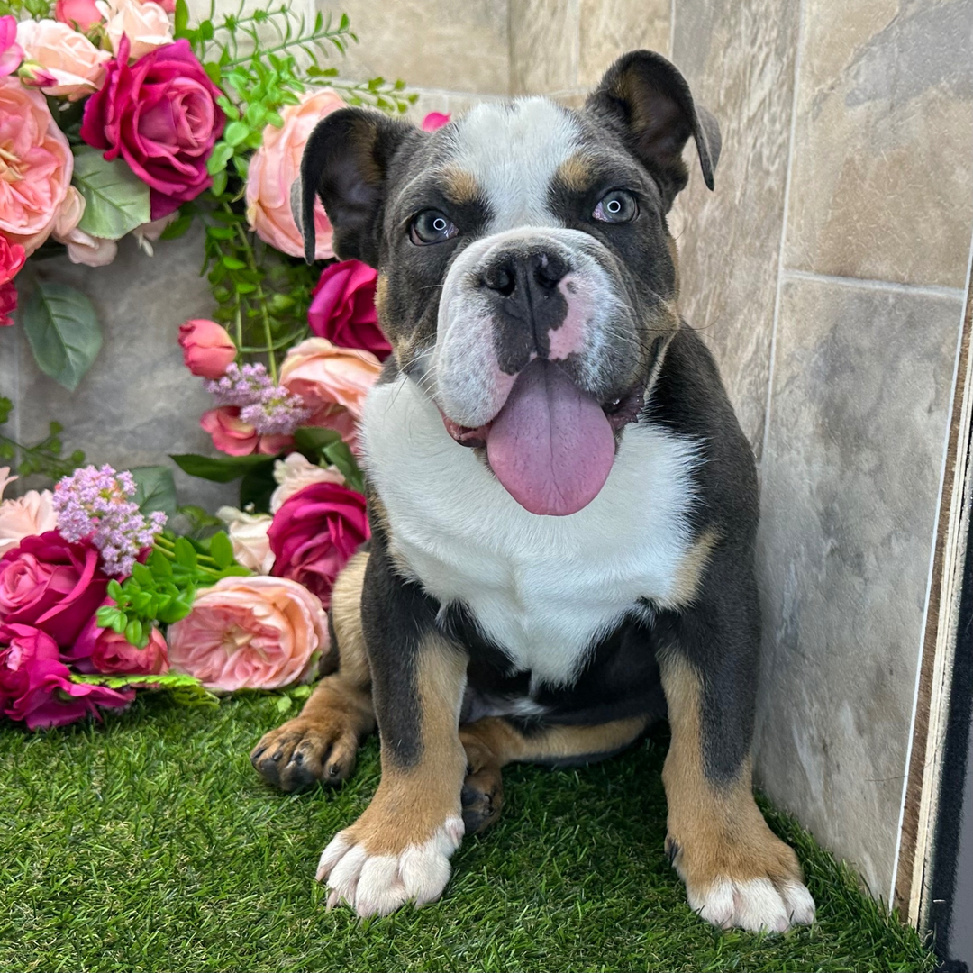 Mittens thumbnail - image 3