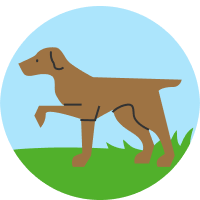 Quality assurance icon