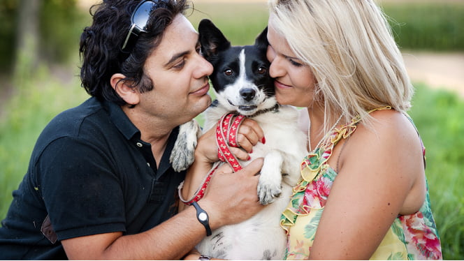 Satisfied customer with their Puppy Palace puppy