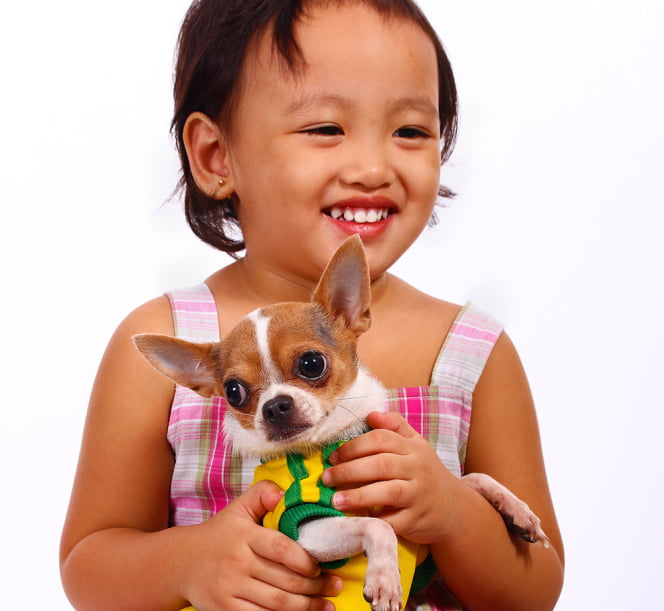 Happy child with puppy